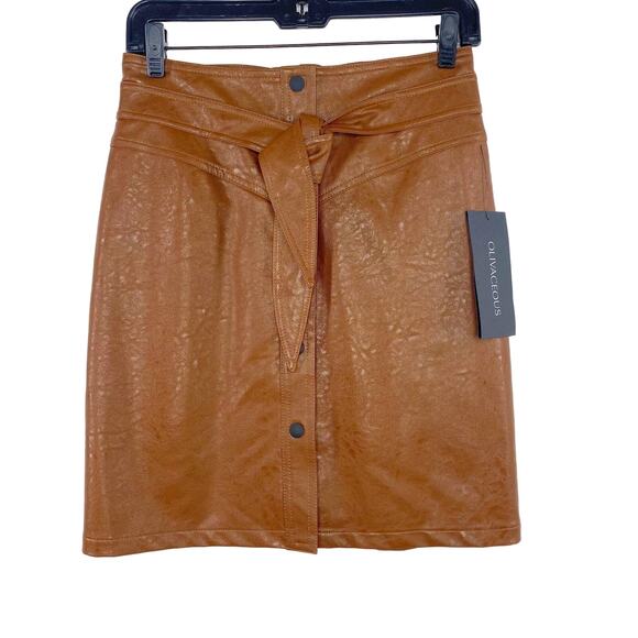 Olivaceous Brown Faux Leather Lined Button Front Tie Waist Mini Skirt Small  NEW - Picture 1 of 8